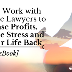 How to Work with Freelance Lawyers to Increase Profits, Decrease Stress and Get Your Life Back [eBook]