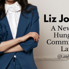 Liz Johnson: A New Young, Hungry and Committed Solo Lawyer