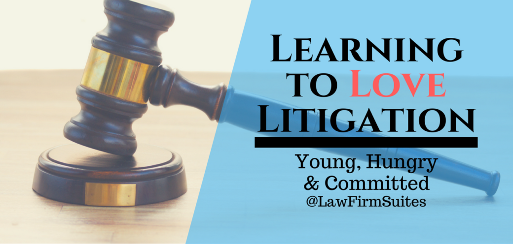 Learning to Love Litigation