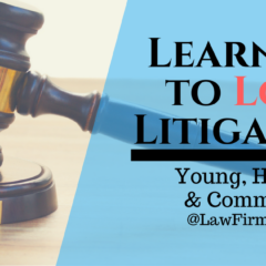 Learning to Love Litigation