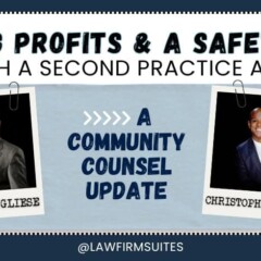 Finding Profits & A Safety Net by Adding a Second Practice Area [Community Counsel]